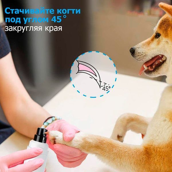 Електричний гріндер точилка для кігтів собак і кішок Pet Nail Grinder XN-10, тример пилка для кігтів 10013 фото
