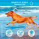 Нашийник з GPS трекером для собак та кішок TK 911 (GPS Pet Tracker) водонепроникний 10017 фото 5